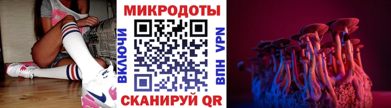 Галлюциногенные грибы Psilocybe  как найти закладки  Баймак 